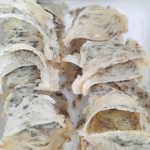 Tổ Yến Thô Còn Lông Loại 1 (100gr) Tổ Yến Thô Còn Lông Loại 1 (100gr)